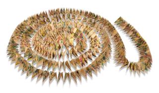 Stefano Arienti - Senza titolo