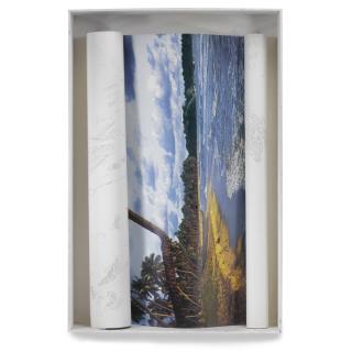 Stefano Arienti - Senza Titolo