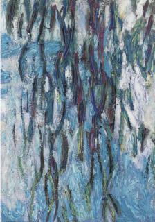 Stefano Arienti - Senza Titolo