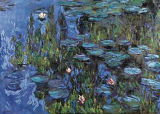 Stefano Arienti - Senza titolo