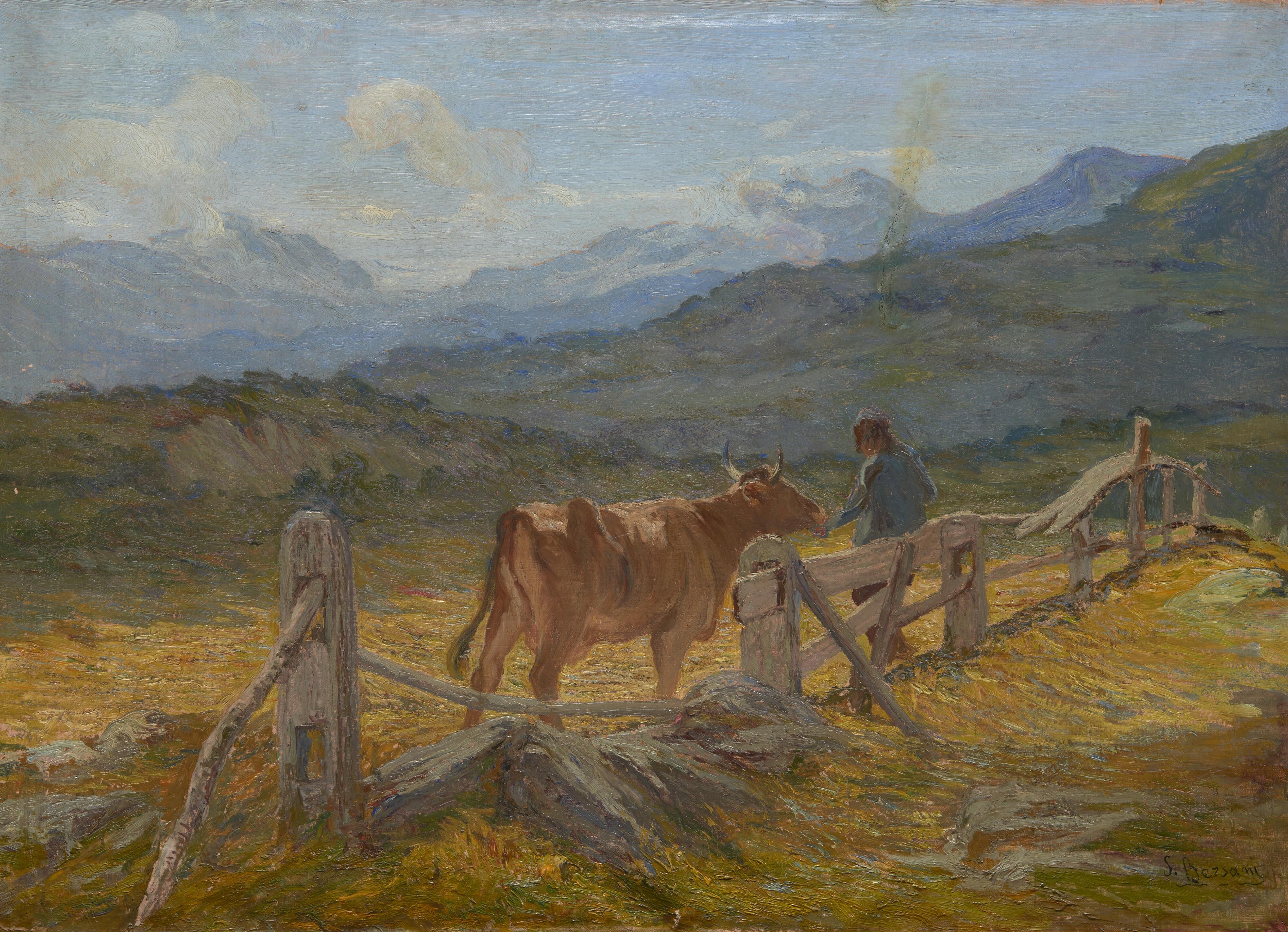 Stefano Bersani - Al pascolo