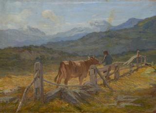 Stefano Bersani - Al pascolo