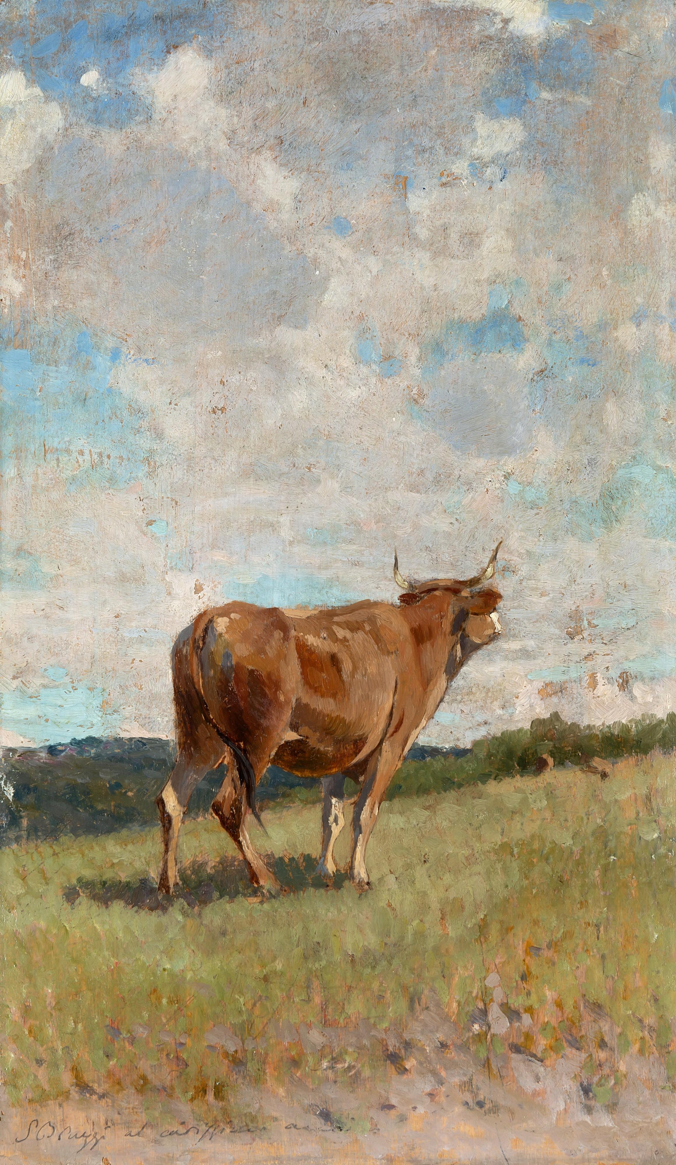 Stefano Bruzzi - Bove al pascolo