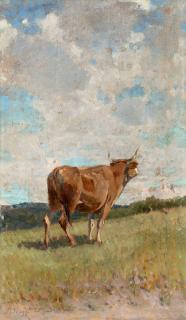 Stefano Bruzzi - Bove al pascolo