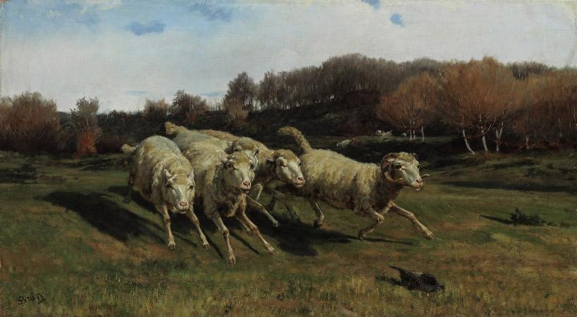 Stefano Bruzzi - Fleeing sheep