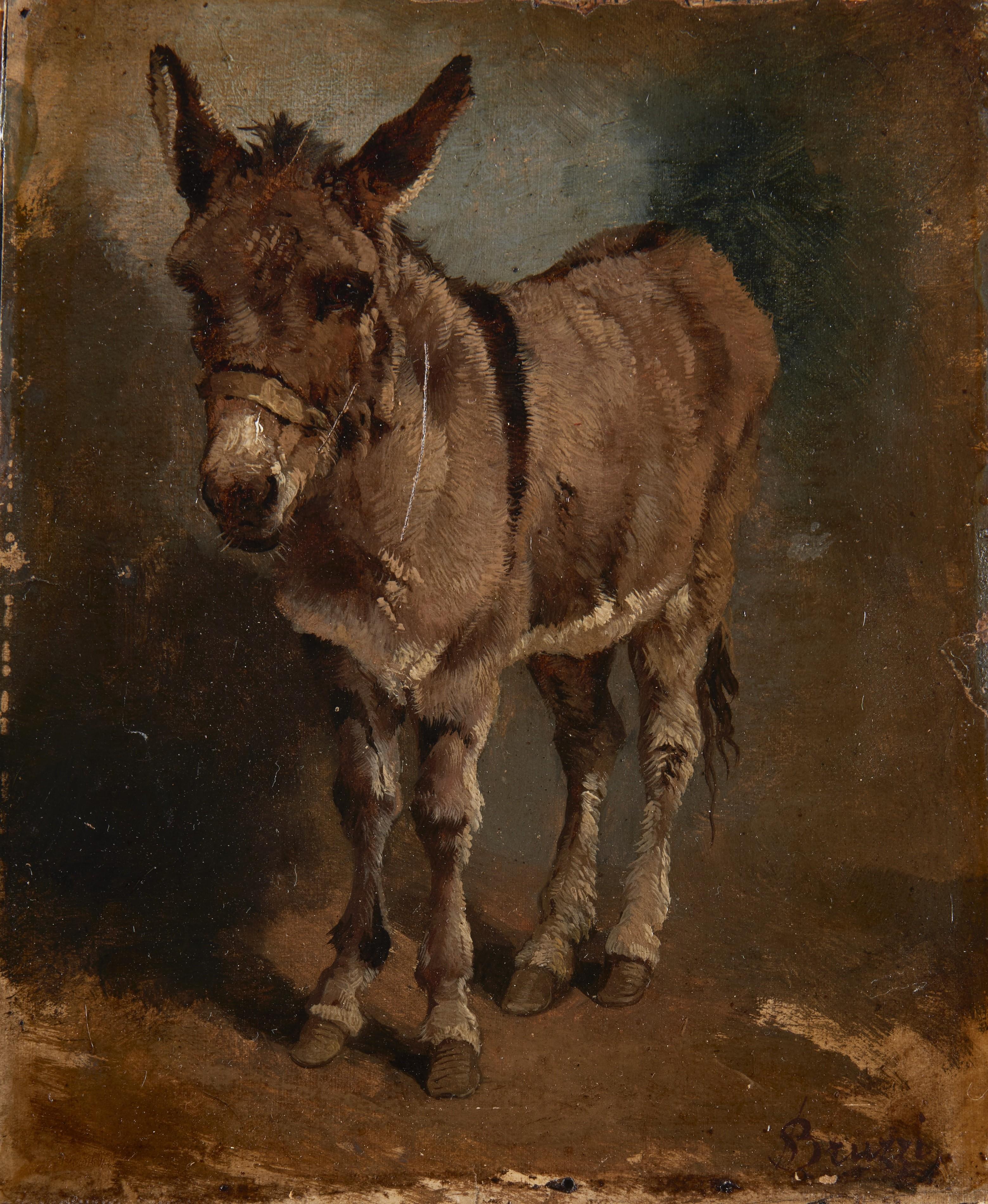 Stefano Bruzzi - L\'asinello