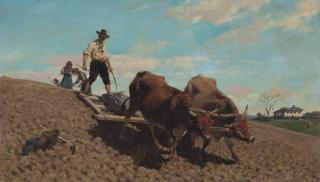 Stefano Bruzzi - Oxen ploughing
