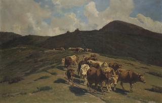 Stefano Bruzzi - Schiene di monti