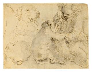 Stefano Della Bella - A child playing with dogs