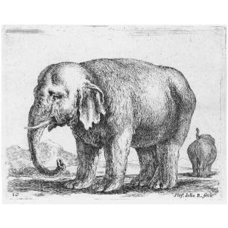 Stefano Della Bella - A Collection Of Etchings