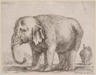 Stefano Della Bella - Diversi Animali (de V. 690-99, 701-13)