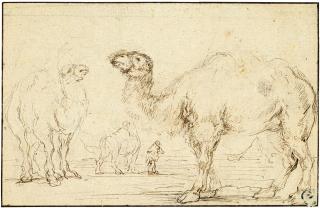 Stefano Della Bella - Three camels and their driver, a pyramid in the distance