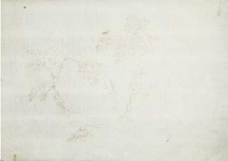 Stefano Della Bella - Troncs D\'Arbres Et Feuillages