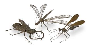 Stella Shawzin - Insects: a set of 3