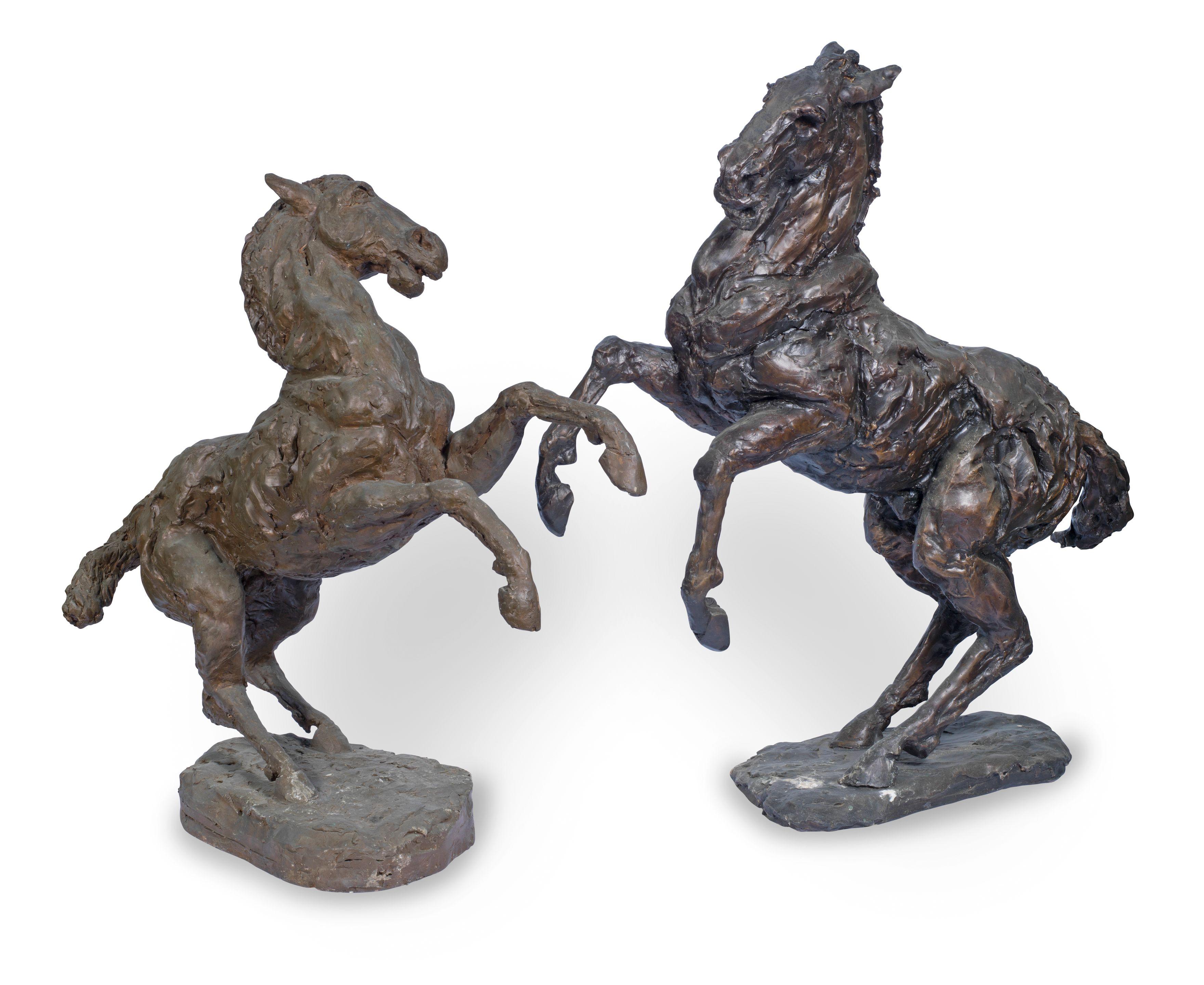 Stella Shawzin - Rearing Horse study