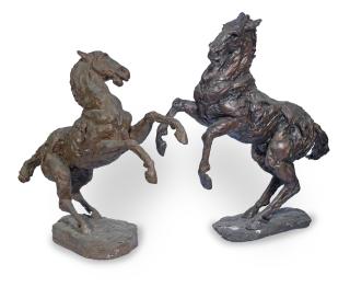 Stella Shawzin - Rearing Horse study