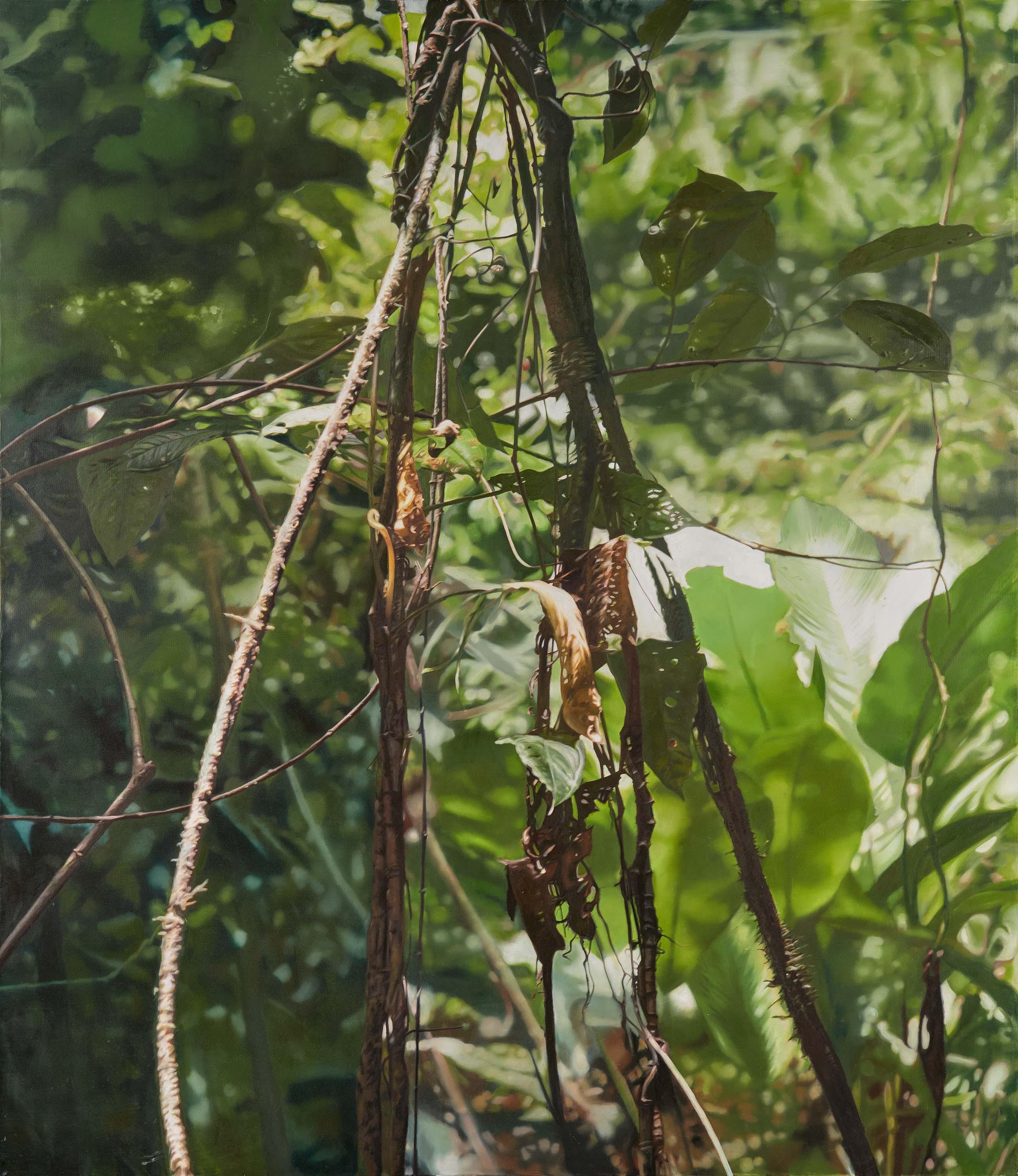 Stephan Kaluza - Ohne Titel.