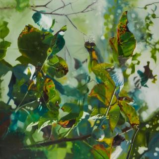 Stephan Kaluza - The Disappeared I.