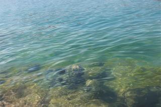 Stephan Kaluza - Transit 123.