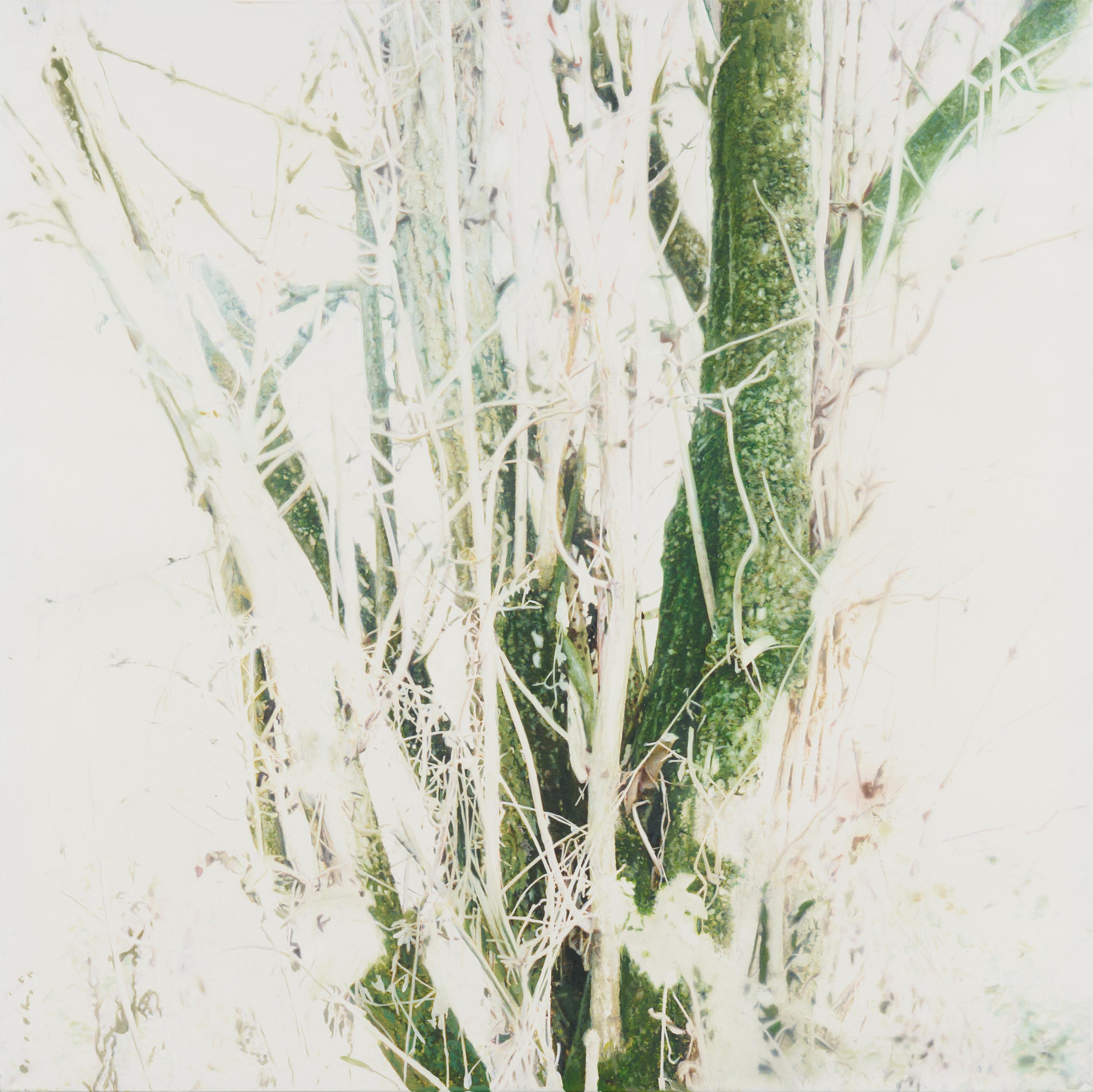 Stephan Kaluza - Transit 156.