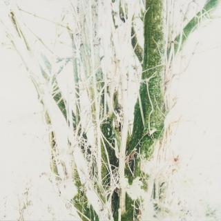 Stephan Kaluza - Transit 156.