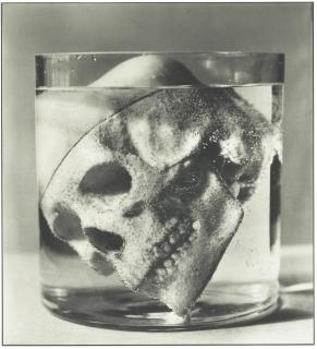 Stephane Graff - Skull In Glass