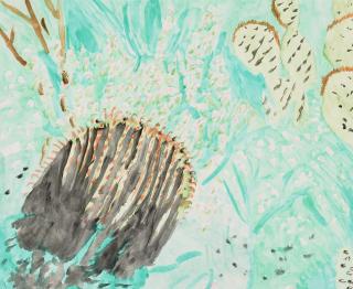 Stephen Bryant - Cactus and Desert Flowers