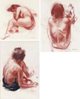 Stephen Conroy - Life study