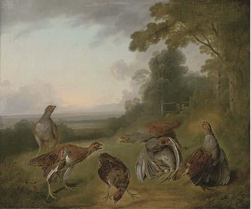 Stephen Elmer - Grey Partridge In A Extensive Landscape, With Hunters Beyond