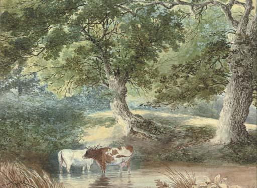 Stephen J. Bowers - Cattle watering