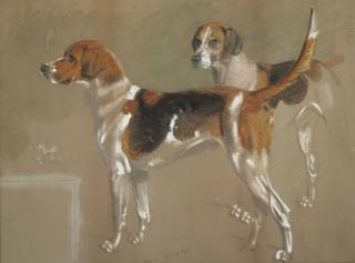 Stephen Pearce - Five sketches of Cottesmore foxhounds