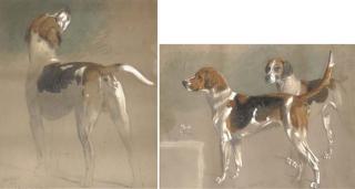 Stephen Pearce - Five Sketches of Foxhounds