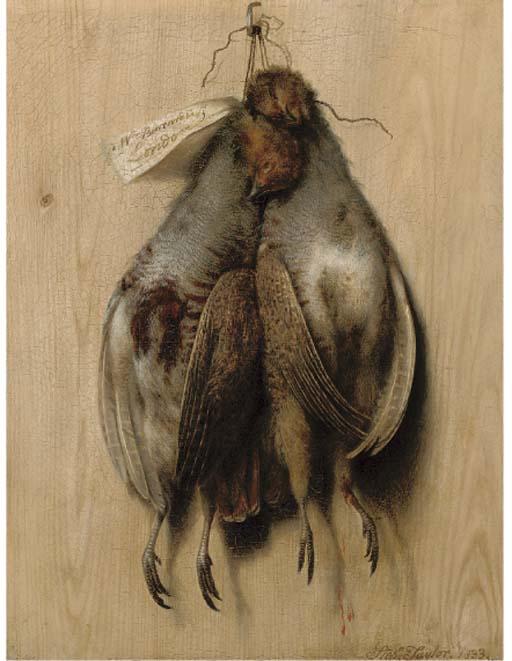 Stephen Taylor - Hanging Grey Partridge