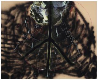 Sterling Ruby - Peace Symbol