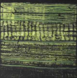 Sterling Ruby - SP176