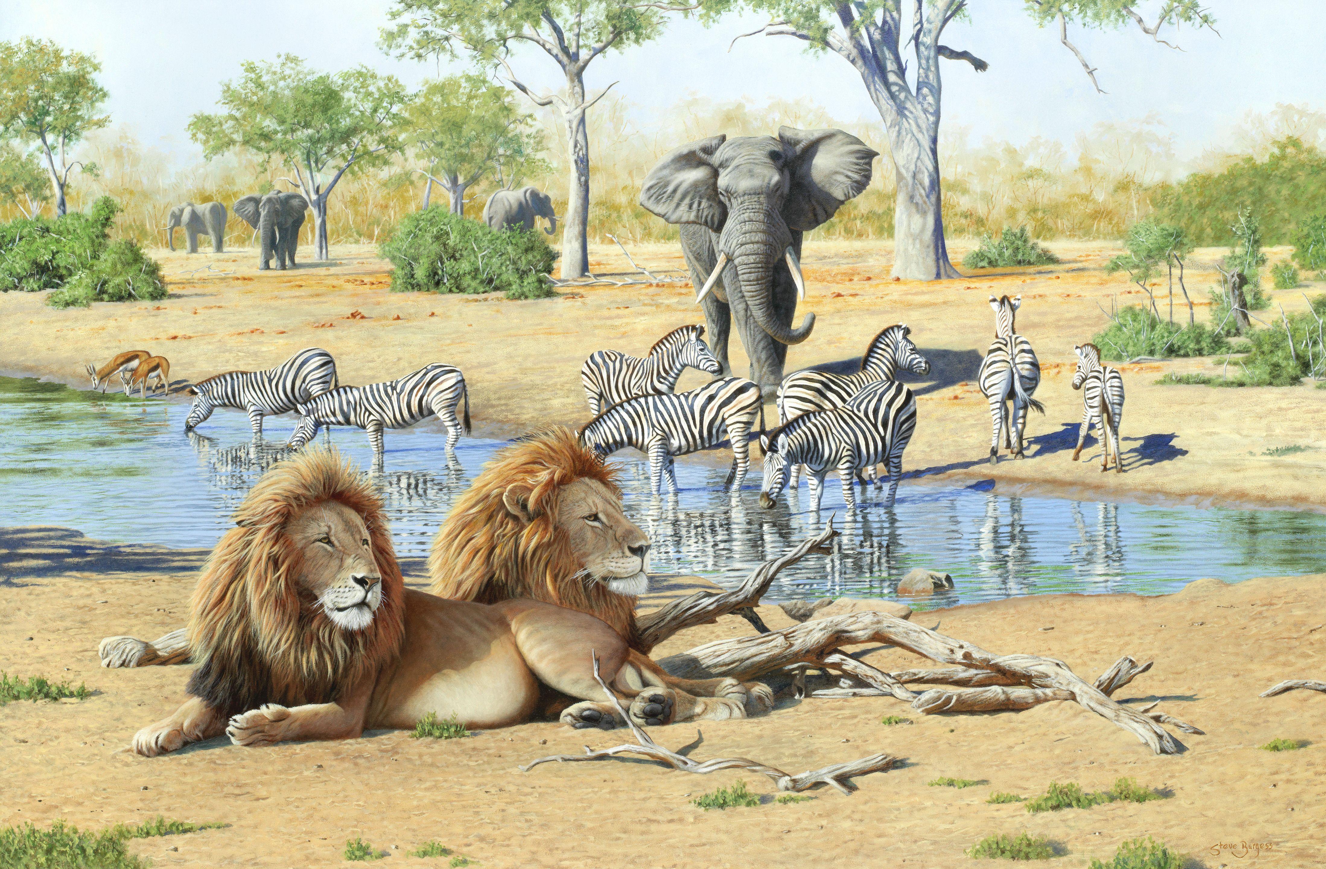 Steve Burgess - The Watering Hole
