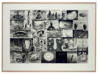 Steve Galloway - Backyard