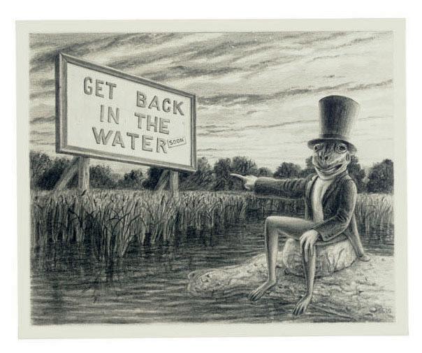 Steve Galloway - Get Back in the Water