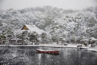 Steve McCurry - Boat Covered in Snow in Sankei-en Gardens, Tokyo