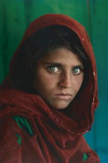 Steve Mccurry - \'Sharbat Gula, Afghan Girl, Pakistan\', 1984