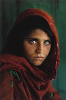 Steve Mccurry - Sharbat Gula, Afghan Girl, Pakistan