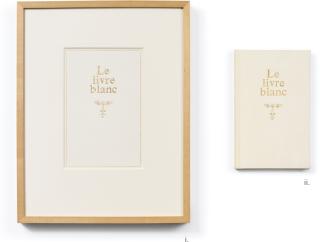 Steve Wolfe - Untitled (Study For Le Livre Blanc); Untitled (Le Livre Blanc) [Two Works]
