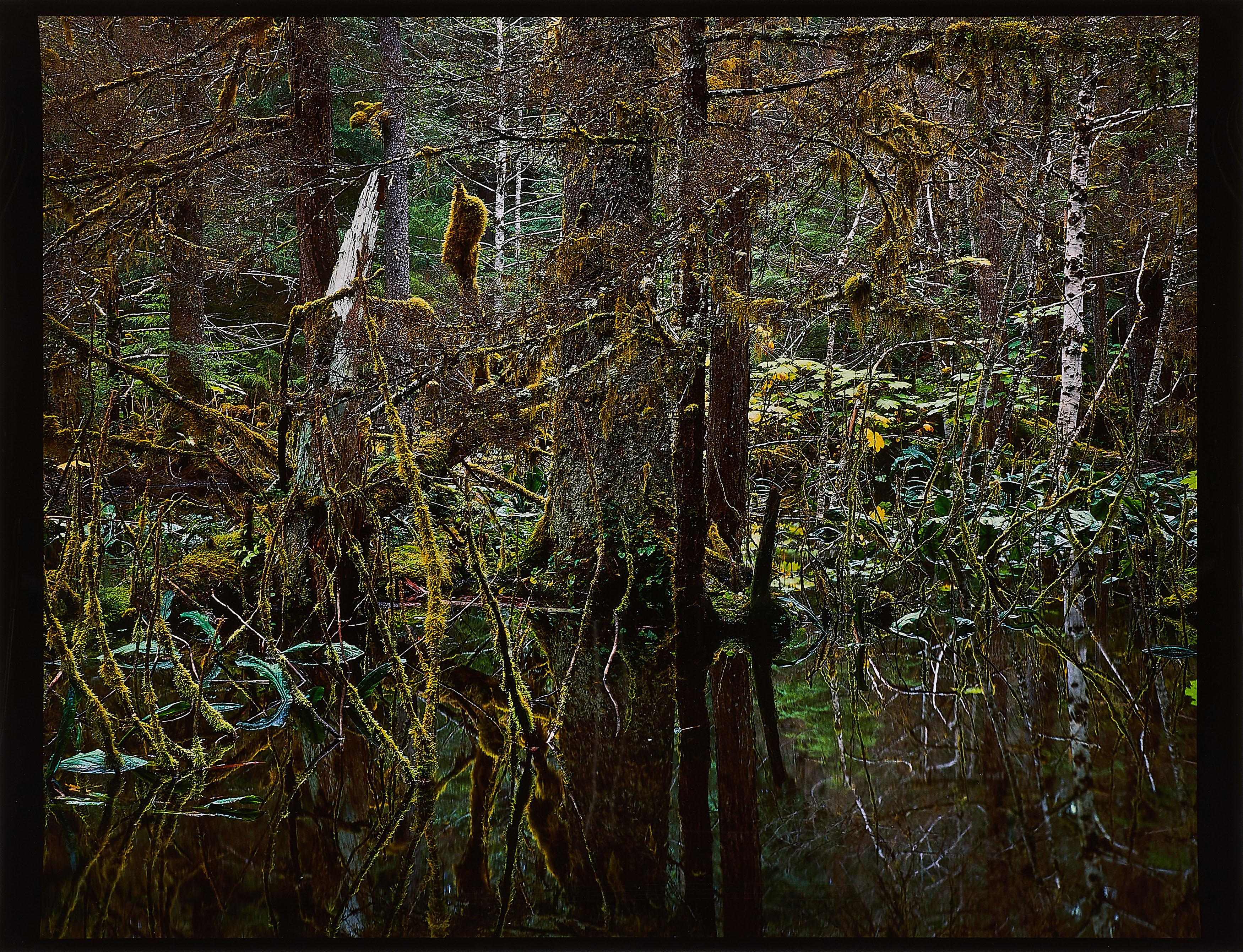 Steven Ketchum - Kadashaw II (Blackwater) (Aus: Columbus. In Search of a New Tomorrow).