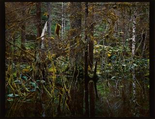 Steven Ketchum - Kadashaw II (Blackwater) (Aus: Columbus. In Search of a New Tomorrow).