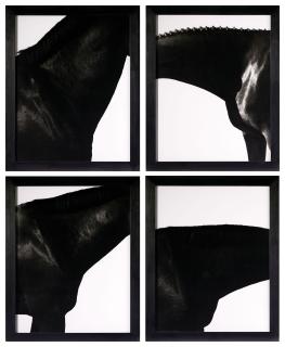 Steven Klein - Neck I, II, III, IV, 1995