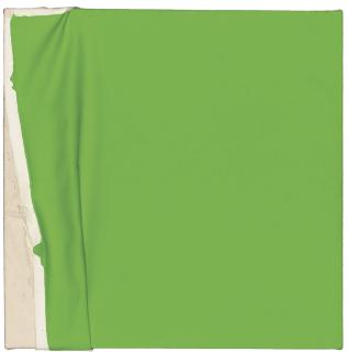 Steven Parrino - Fester