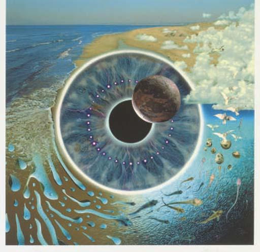 Storm Thorgerson - Pulse