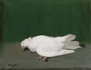 Stuart James Park - A Dove