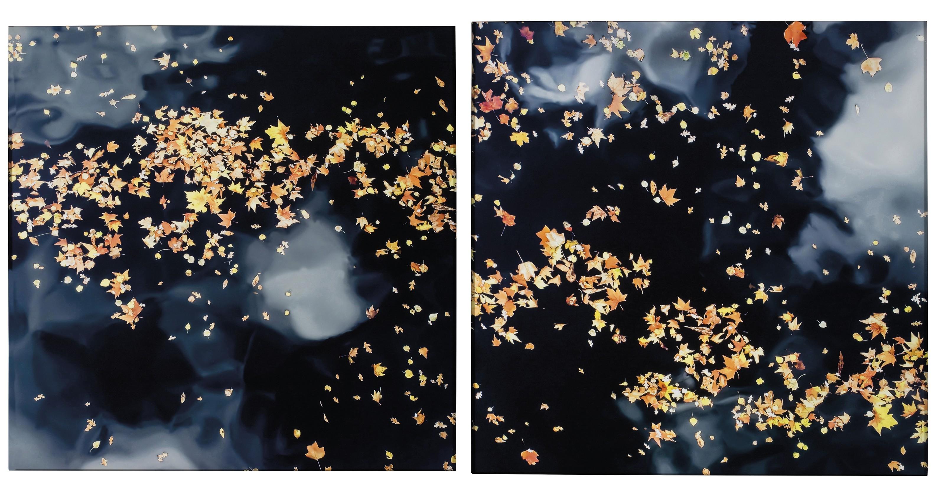 Su-Mei Tse - ...et a l\'horizon, il y a avait l\'orage