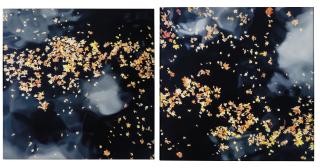 Su-Mei Tse - ...et a l\'horizon, il y a avait l\'orage